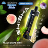 Buy Hayati Pro Max Shisha 15000 Disposable Vape at vapekarlo